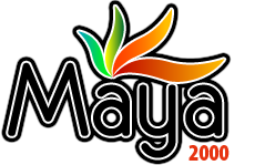 Maya光谱仪